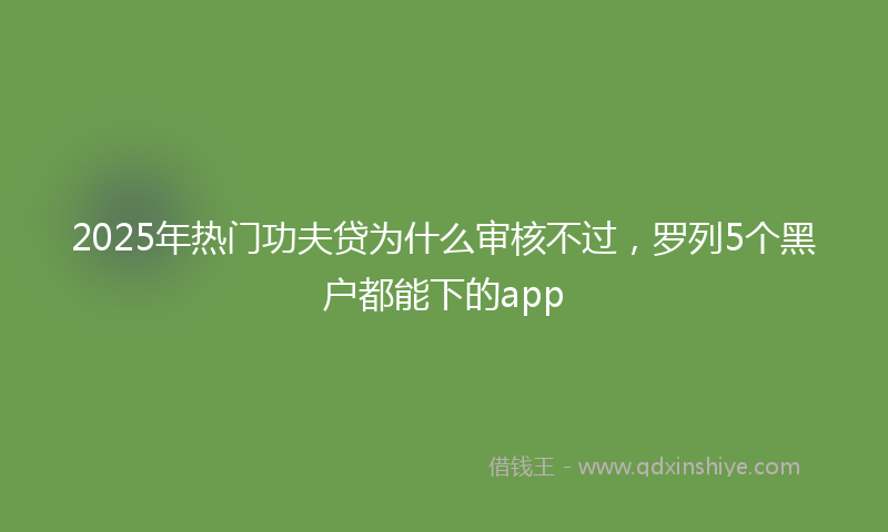 2025年热门功夫贷为什么审核不过，罗列5个黑户都能下的app