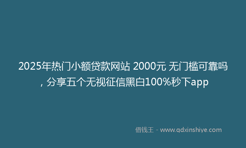 2025年热门小额贷款网站 2000元 无门槛可靠吗，分享五个无视征信黑白100%秒下app