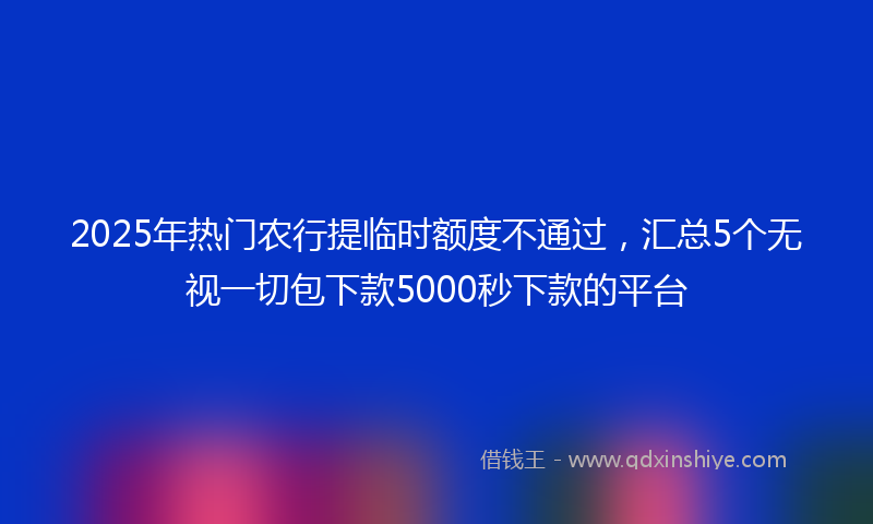2025年热门农行提临时额度不通过，汇总5个无视一切包下款5000秒下款的平台