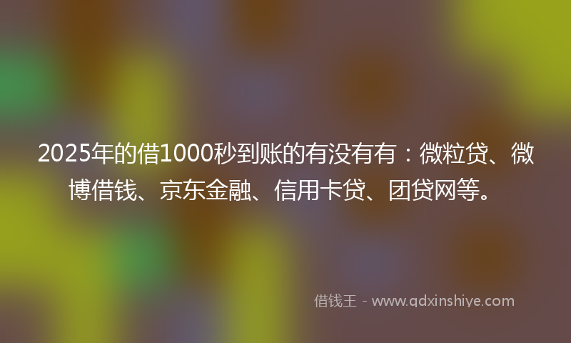 2025年的借1000秒到账的有没有有：微粒贷、微博借钱、京东金融、信用卡贷、团贷网等。