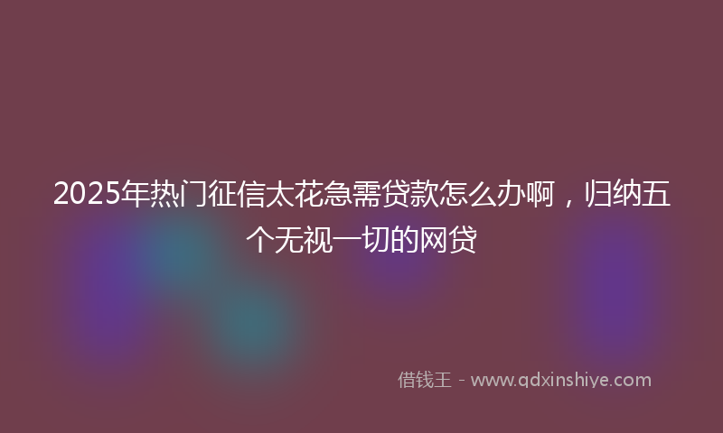 2025年热门征信太花急需贷款怎么办啊，归纳五个无视一切的网贷