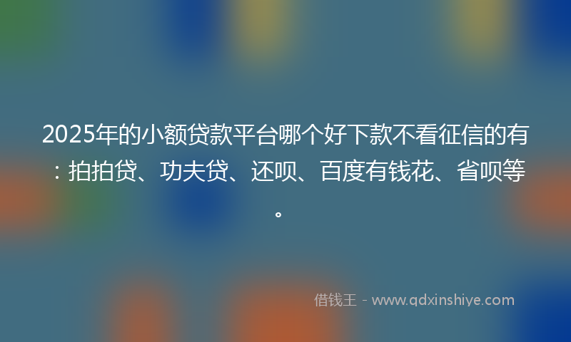 2025年的小额贷款平台哪个好下款不看征信的有：拍拍贷、功夫贷、还呗、百度有钱花、省呗等。