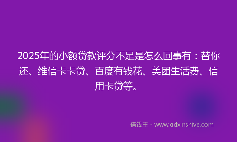 2025年的小额贷款评分不足是怎么回事有：替你还、维信卡卡贷、百度有钱花、美团生活费、信用卡贷等。