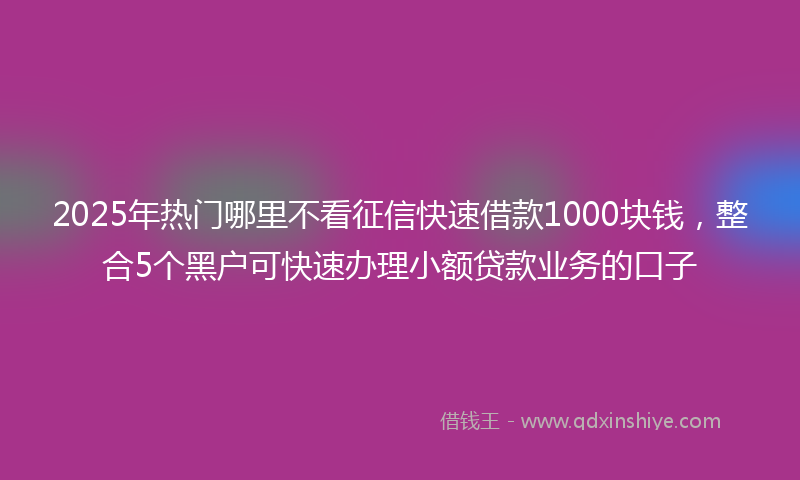 2025年热门哪里不看征信快速借款1000块钱，整合5个黑户可快速办理小额贷款业务的口子
