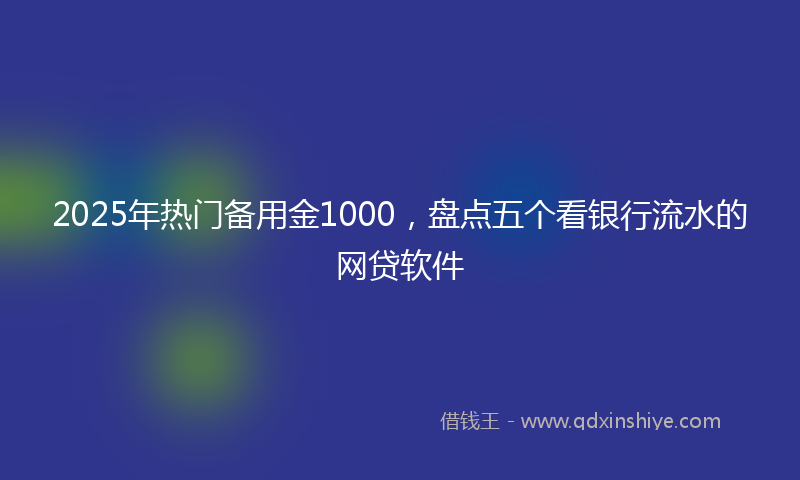 2025年热门备用金1000，盘点五个看银行流水的网贷软件