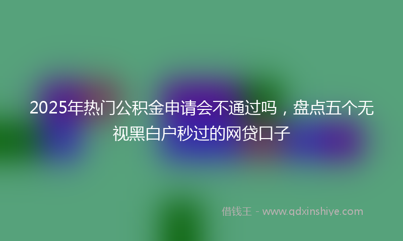 2025年热门公积金申请会不通过吗，盘点五个无视黑白户秒过的网贷口子