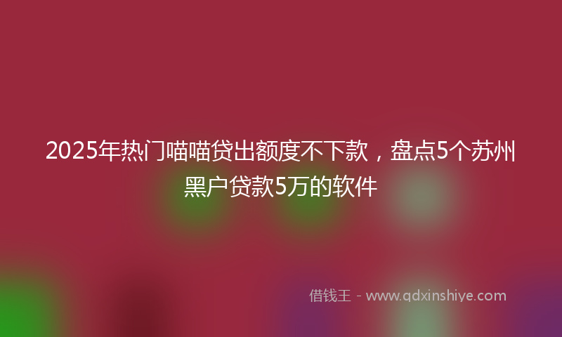 2025年热门喵喵贷出额度不下款，盘点5个苏州黑户贷款5万的软件