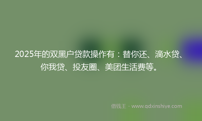 2025年的双黑户贷款操作有：替你还、滴水贷、你我贷、投友圈、美团生活费等。