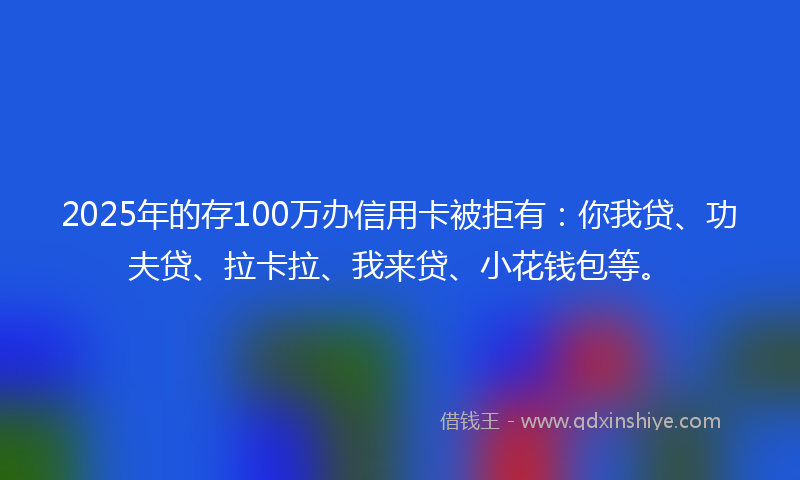 2025年的存100万办信用卡被拒有：你我贷、功夫贷、拉卡拉、我来贷、小花钱包等。