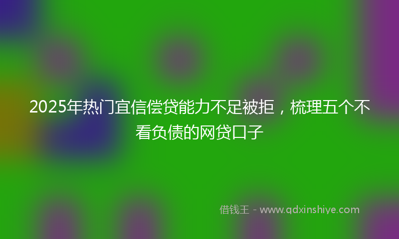 2025年热门宜信偿贷能力不足被拒，梳理五个不看负债的网贷口子