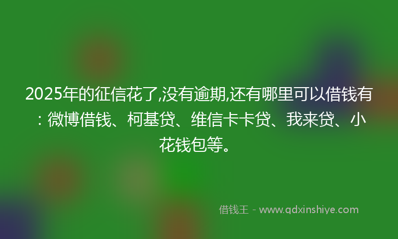 2025年的征信花了,没有逾期,还有哪里可以借钱有：微博借钱、柯基贷、维信卡卡贷、我来贷、小花钱包等。