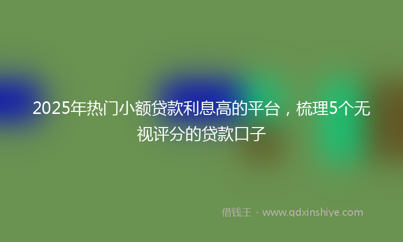 2025年热门小额贷款利息高的平台，梳理5个无视评分的贷款口子