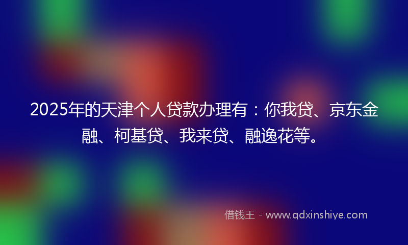 2025年的天津个人贷款办理有：你我贷、京东金融、柯基贷、我来贷、融逸花等。