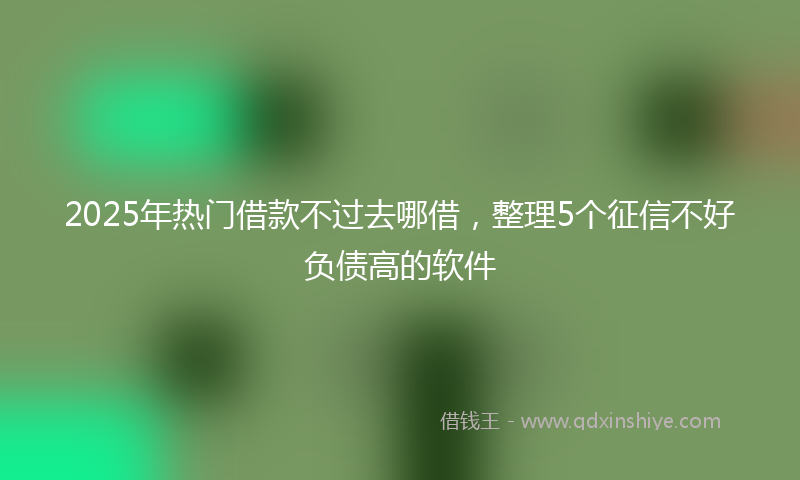 2025年热门借款不过去哪借，整理5个征信不好负债高的软件