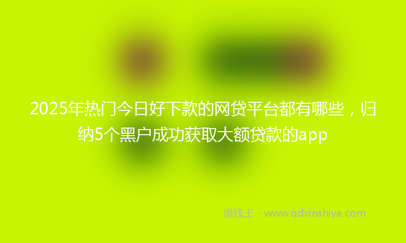 2025年热门今日好下款的网贷平台都有哪些，归纳5个黑户成功获取大额贷款的app