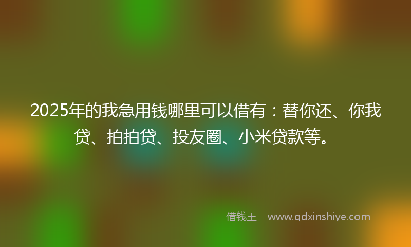 2025年的我急用钱哪里可以借有：替你还、你我贷、拍拍贷、投友圈、小米贷款等。