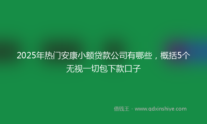 2025年热门安康小额贷款公司有哪些，概括5个无视一切包下款口子