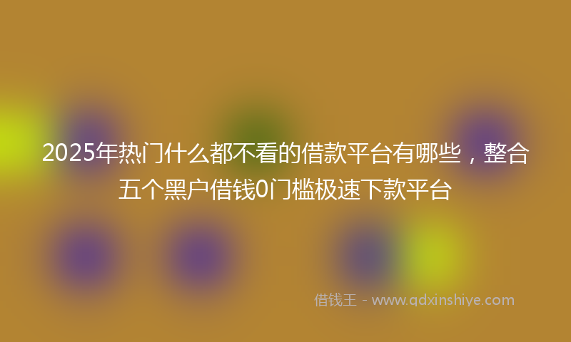 2025年热门什么都不看的借款平台有哪些，整合五个黑户借钱0门槛极速下款平台