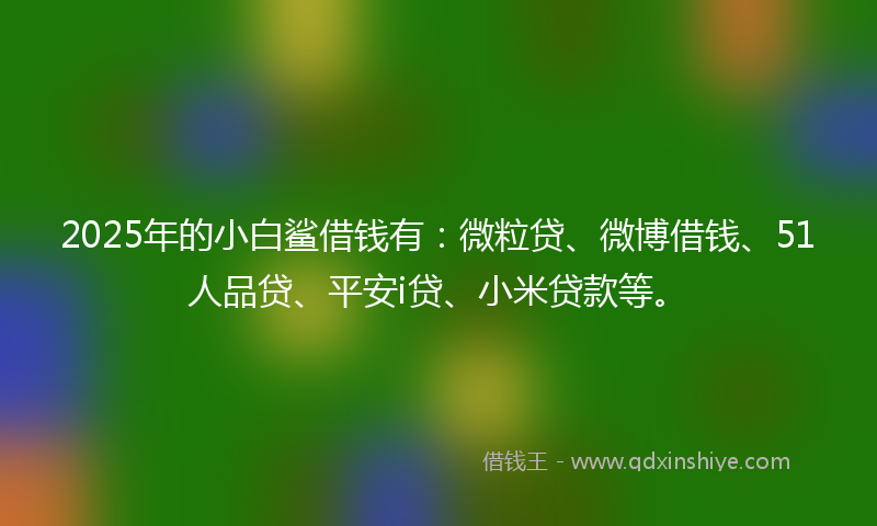 2025年的小白鲨借钱有：微粒贷、微博借钱、51人品贷、平安i贷、小米贷款等。