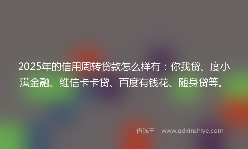 2025年的信用周转贷款怎么样有：你我贷、度小满金融、维信卡卡贷、百度有钱花、随身贷等。