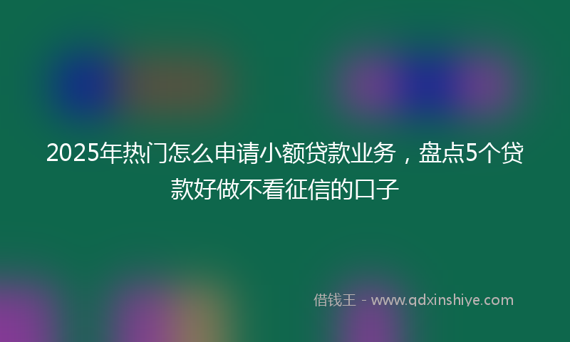 2025年热门怎么申请小额贷款业务，盘点5个贷款好做不看征信的口子