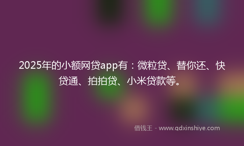 2025年的小额网贷app有：微粒贷、替你还、快贷通、拍拍贷、小米贷款等。