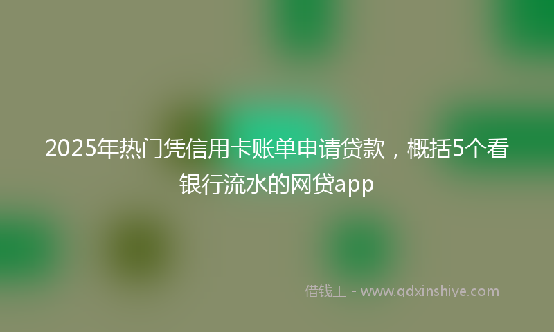 2025年热门凭信用卡账单申请贷款，概括5个看银行流水的网贷app