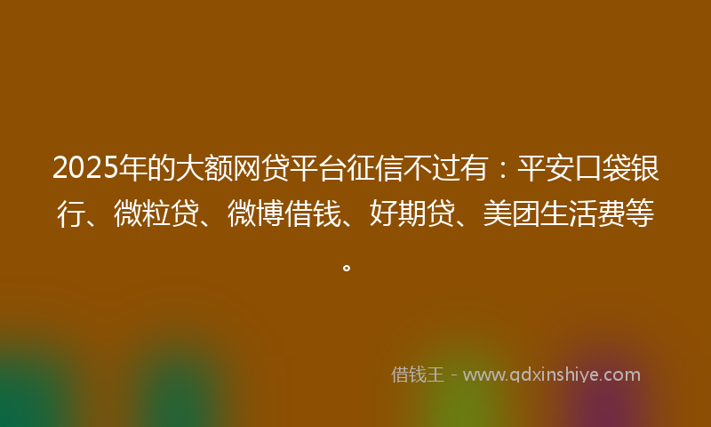 2025年的大额网贷平台征信不过有：平安口袋银行、微粒贷、微博借钱、好期贷、美团生活费等。
