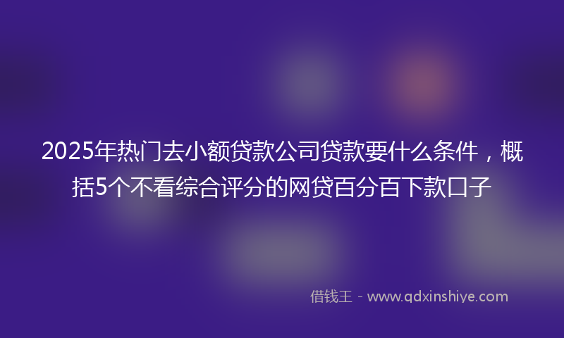 2025年热门去小额贷款公司贷款要什么条件，概括5个不看综合评分的网贷百分百下款口子
