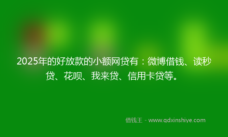2025年的好放款的小额网贷有：微博借钱、读秒贷、花呗、我来贷、信用卡贷等。