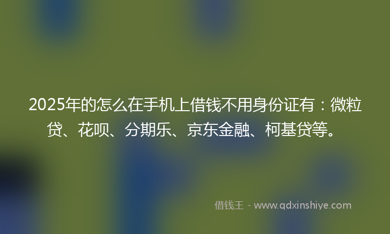 2025年的怎么在手机上借钱不用身份证有：微粒贷、花呗、分期乐、京东金融、柯基贷等。