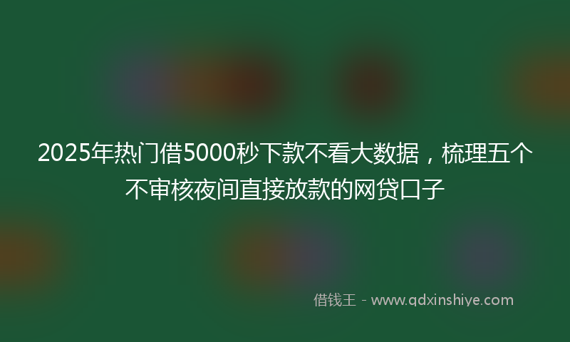 2025年热门借5000秒下款不看大数据，梳理五个不审核夜间直接放款的网贷口子