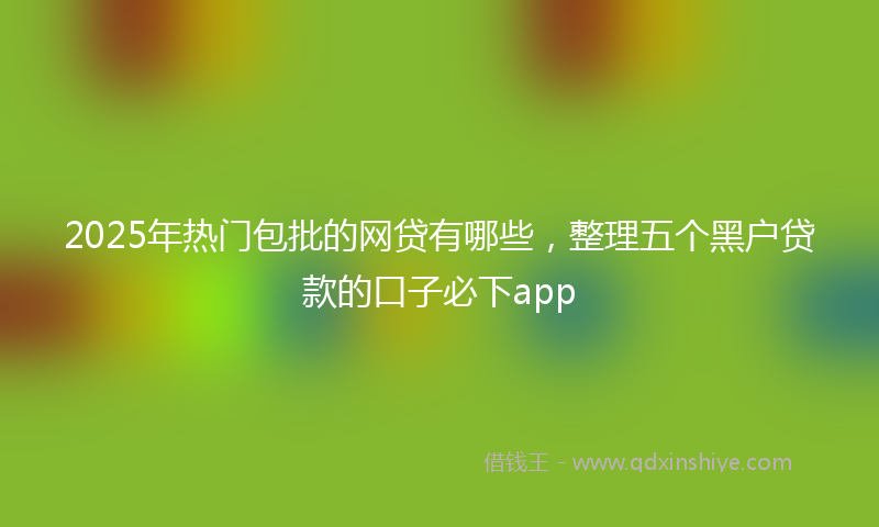 2025年热门包批的网贷有哪些，整理五个黑户贷款的口子必下app