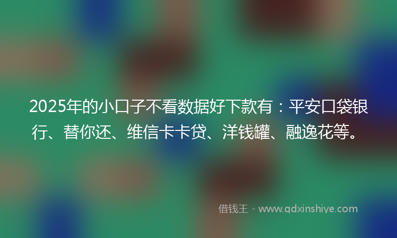 2025年的小口子不看数据好下款有：平安口袋银行、替你还、维信卡卡贷、洋钱罐、融逸花等。