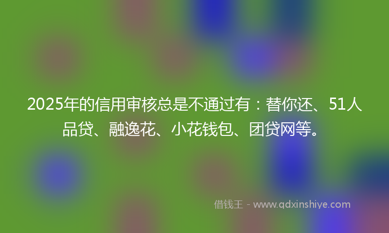 2025年的信用审核总是不通过有：替你还、51人品贷、融逸花、小花钱包、团贷网等。
