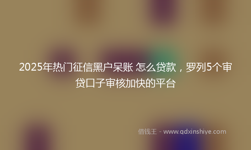 2025年热门征信黑户呆账 怎么贷款，罗列5个审贷口子审核加快的平台