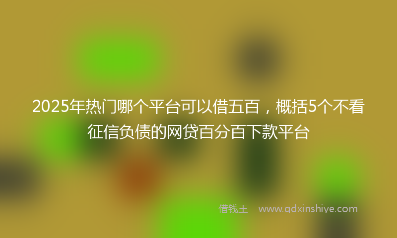 2025年热门哪个平台可以借五百，概括5个不看征信负债的网贷百分百下款平台
