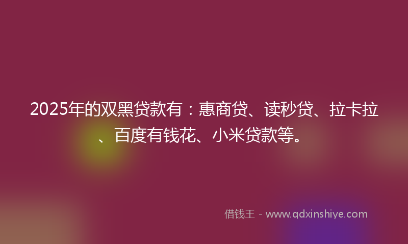 2025年的双黑贷款有：惠商贷、读秒贷、拉卡拉、百度有钱花、小米贷款等。