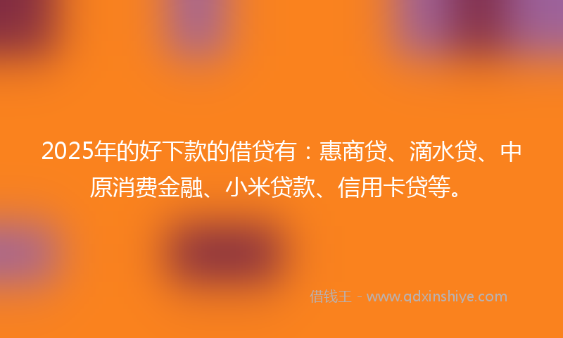 2025年的好下款的借贷有：惠商贷、滴水贷、中原消费金融、小米贷款、信用卡贷等。