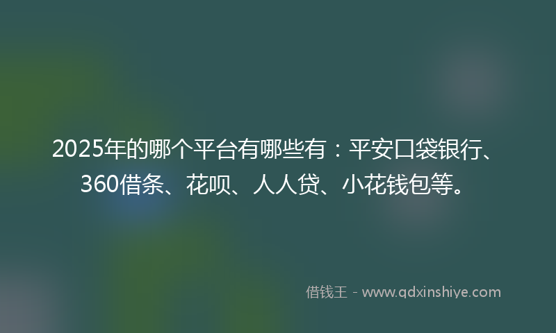 2025年的哪个平台有哪些有：平安口袋银行、360借条、花呗、人人贷、小花钱包等。