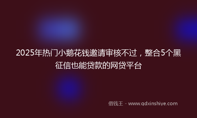 2025年热门小鹅花钱邀请审核不过，整合5个黑征信也能贷款的网贷平台