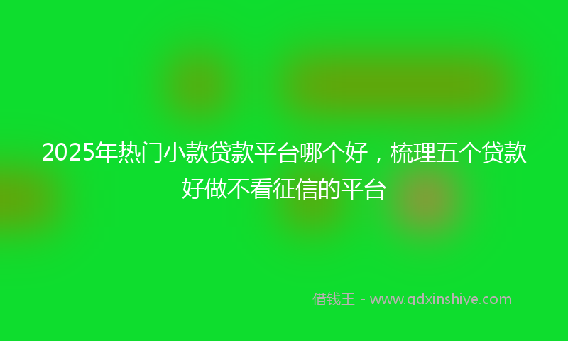 2025年热门小款贷款平台哪个好，梳理五个贷款好做不看征信的平台