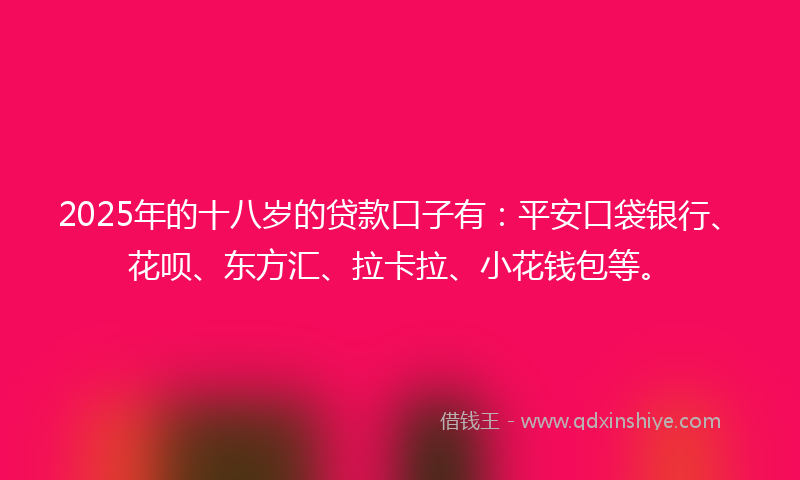 2025年的十八岁的贷款口子有：平安口袋银行、花呗、东方汇、拉卡拉、小花钱包等。