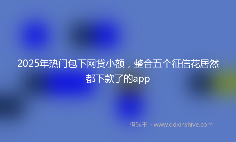 2025年热门包下网贷小额，整合五个征信花居然都下款了的app