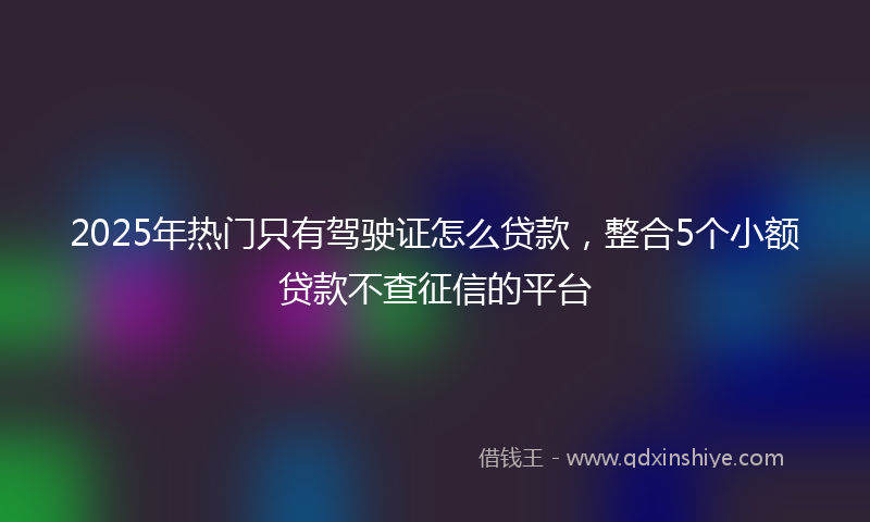 2025年热门只有驾驶证怎么贷款，整合5个小额贷款不查征信的平台