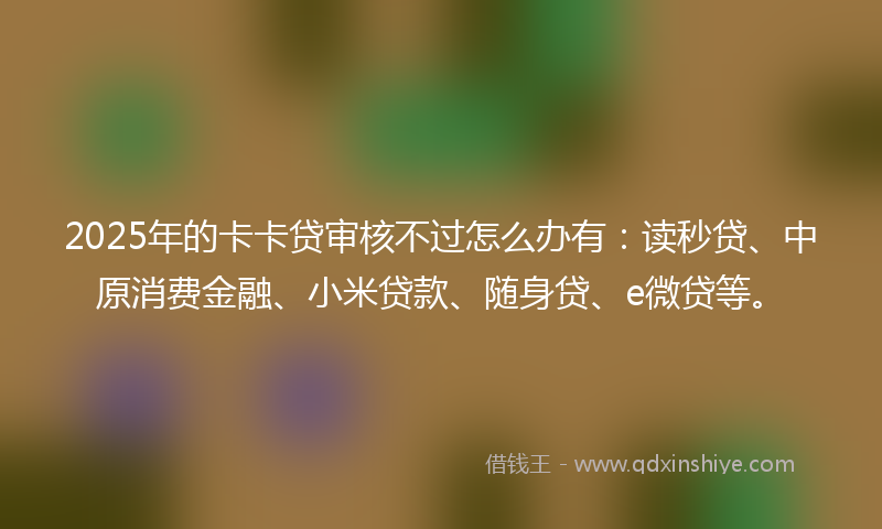 2025年的卡卡贷审核不过怎么办有：读秒贷、中原消费金融、小米贷款、随身贷、e微贷等。