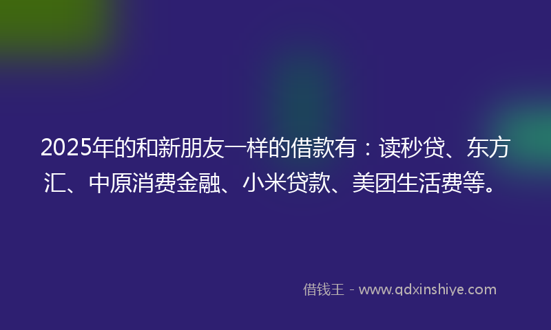 2025年的和新朋友一样的借款有：读秒贷、东方汇、中原消费金融、小米贷款、美团生活费等。