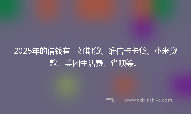 2025年的借钱有：好期贷、维信卡卡贷、小米贷款、美团生活费、省呗等。
