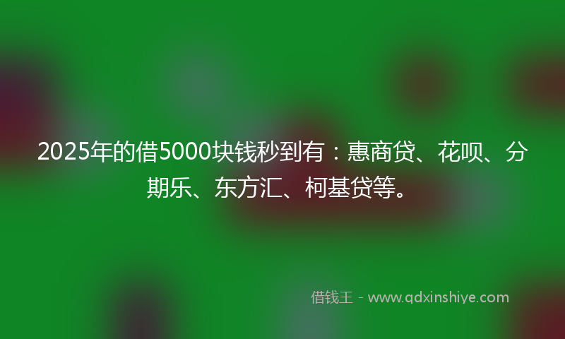 2025年的借5000块钱秒到有：惠商贷、花呗、分期乐、东方汇、柯基贷等。