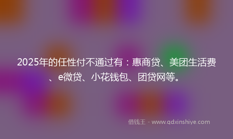 2025年的任性付不通过有：惠商贷、美团生活费、e微贷、小花钱包、团贷网等。
